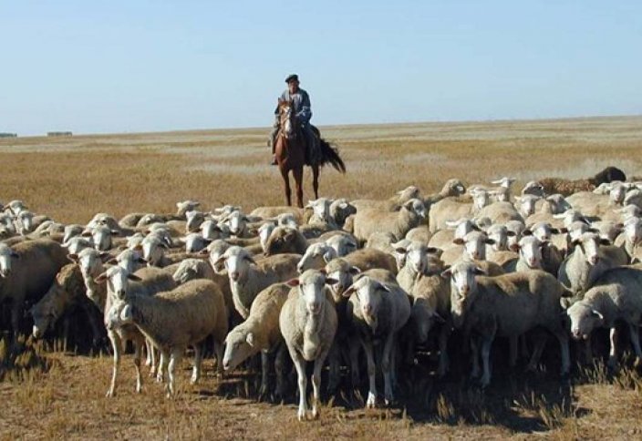 День животноводов появится в Казахстане