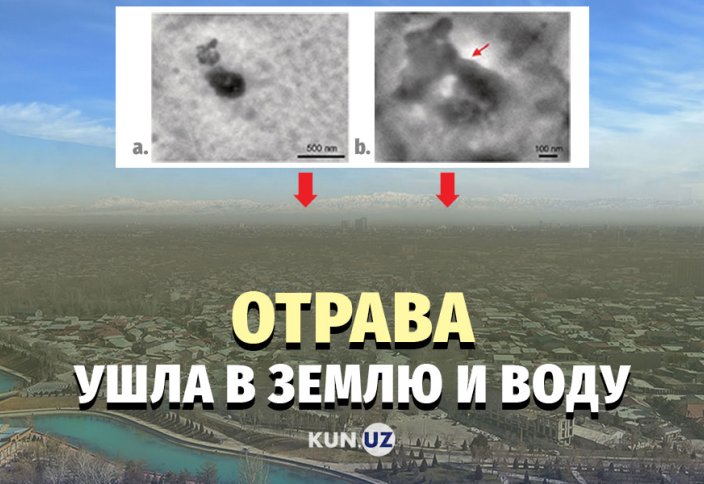 Дожди очистили воздух – теперь отравляются почва и вода?