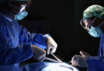 Қырғызстанда ағза айырбастауға тек туыстары донор бола алады