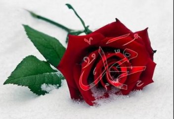 Жалғызсырау