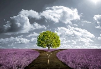 Заманды түзеу