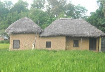 Мешіттерге шабуыл жасау көбейіп барады