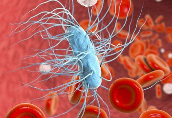 Мамандар қатерлі ісіктен де қауіпті ауруды атады