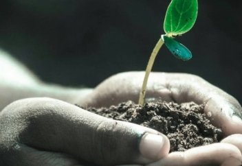 Қарыз-Парыз