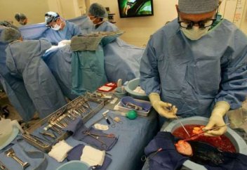 Донорлық ағзалар америкалықтардың өмірін 2 млн жылға ұзартқан