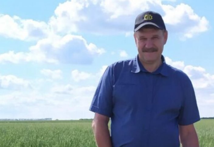 Селекционеры Карабалыка вывели новый сорт жаростойкой пшеницы