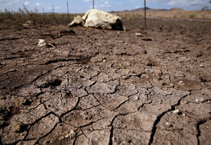 Предсказана глобальная катастрофическая засуха