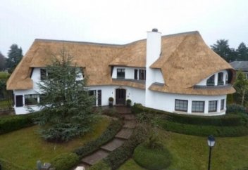 Еуропадағы мына үйлердің шатыры Қызылорда қамысынан жабылған (фото)