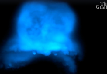 Ученые смогли заснять процесс формирования сердца у эмбриона — это открытие поможет в изучении пороков сердца