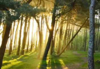 ТАҢЕРТЕҢ ЖӘНЕ АҚШАМ УАҚЫТЫНДА