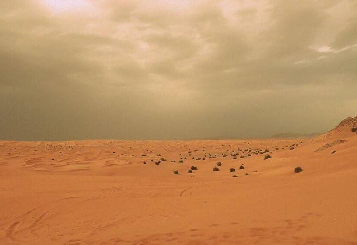 Cахара шөлі жауын-шашын көп түсетін аймаққа айналады