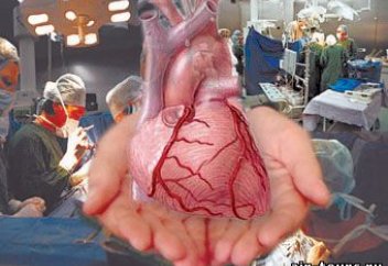 Шиғалар ағза қондырудан алға шықты