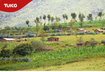 Тихий сдвиг: как иностранные земельные аренды меняют сельскохозяйственный ландшафт Кении