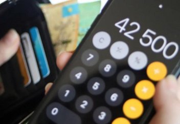 42500: Как проверить свой статус проактивного назначения соцвыплаты