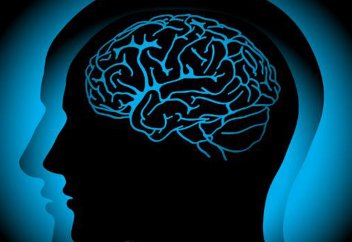 Ғалымдар ми қызметін жақсартудың ең оңай тәсілін атады