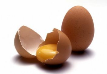 Жителя Мангистау насторожили странные яйца (видео)