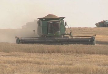 Қазақстандық азамат құрғақшылықпен күресудің өзгеше тәсілін ұсынды