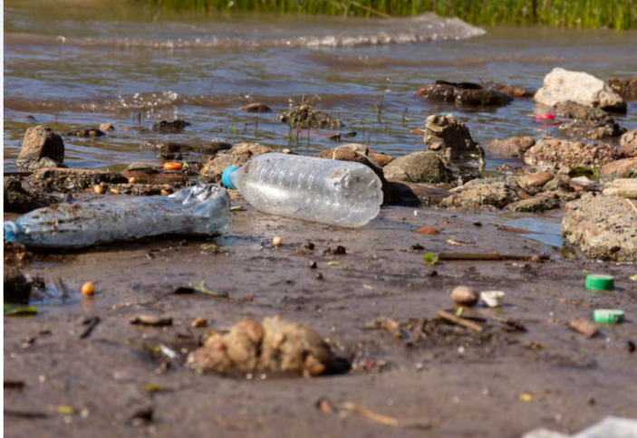 В Узбекистане ужесточили ответственность за экологические нарушения