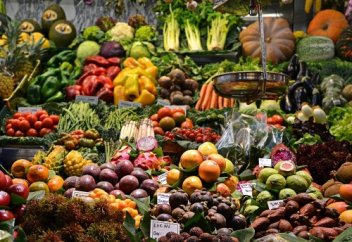 Не навреди: как покупать с минимальным ущербом для экологии