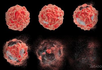 Қатерлі ісіктің шапшаң өсуінің құпиясы ашылды