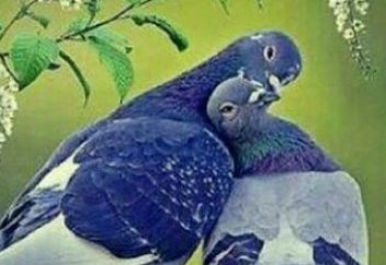 Мы все будем СМОТРЕТЬ вверх... - Мечеть Буйнакска - Хадис - Ислам