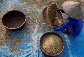 Взаимная вражда: США и Китай едва не обрушили мировую экономику. Кто остался в выигрыше? МВФ прогнозирует потерю 0,8% мирового ВВП из-за торговой войны США и Китая