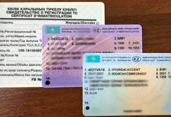 Что делать, если потеряли госномер от авто и водительское удостоверение или техпаспорт