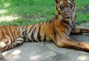 Это место недаром называют зоопарком смерти…(фото)