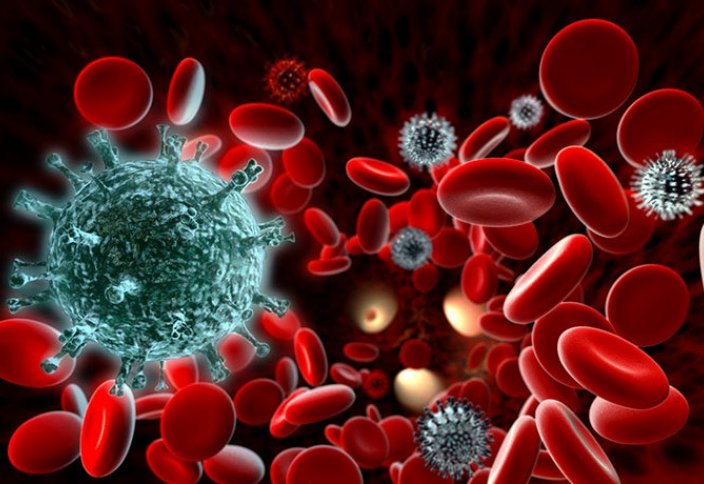 COVID-19&amp; Коронавирус оказался способен менять клетки крови