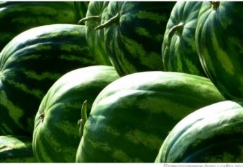 Как выбрать арбуз. Советы специалистов