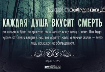 Смерть приходит в самый неожиданный момент! (видео,фото)