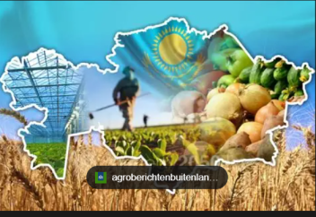Қазақстанға аграрлық держава мәртебесінен айырылу қаупі төніп тұр