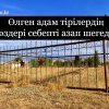 Өлген адам тірілердің сөздері себепті азапталады..