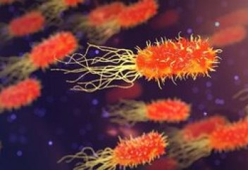 Супер бактериямен өз қаруын қолдана отырып күресудің жолы табылды