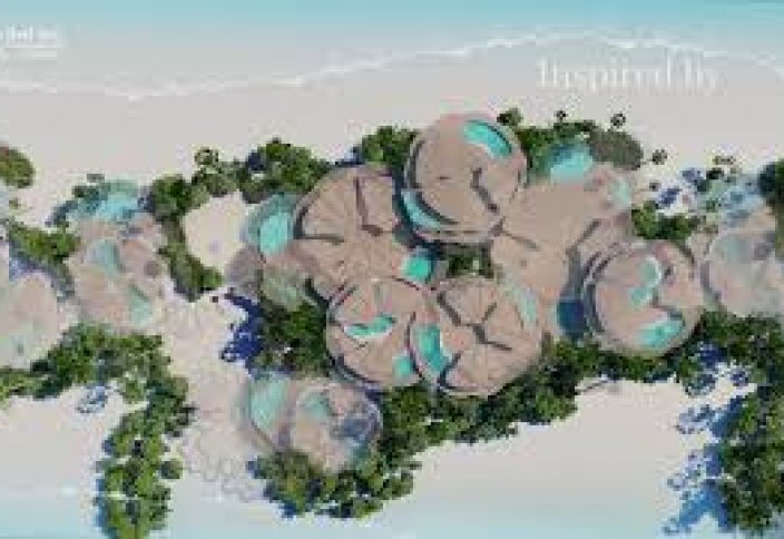 Разные: Al Arabiya (ОАЭ): Мухаммед ибн Салман запустил проект «Coral Bloom» для главного острова в рамках проекта «Красное море»
