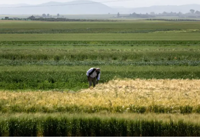 Бір ғана араб елі биологиялық басқыншылықтан жылына 5 млрд доллардан аса шығын көріп келеді