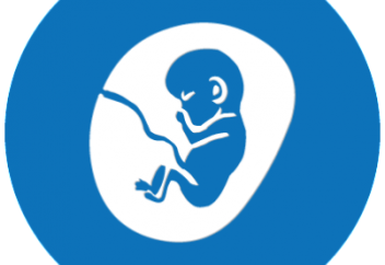 Ұрықтың жүрегі соға бастаған сәттен бастап, түсік жасатуға тыйым салады