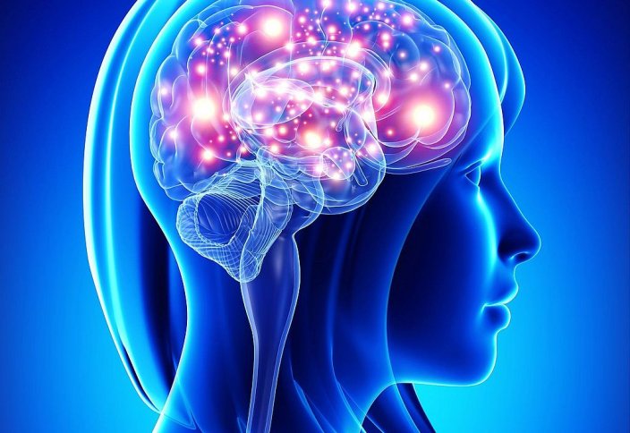 Лишний вес негативно влияет на интеллект у женщин