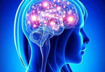 Лишний вес негативно влияет на интеллект у женщин