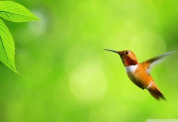 Өмір деген не?