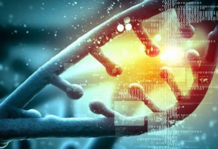 Ғалымдар CRISPR-ді жасушаға магниттік нанобөлшекпен жеткізу тәсілін тапты