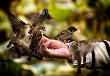 Атымтай жомарт екен...