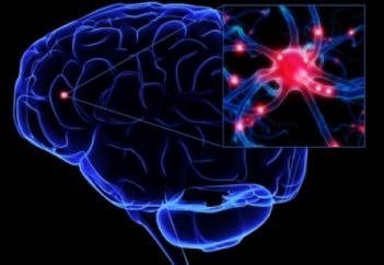 Балалық шақ неге есте қалмайды?