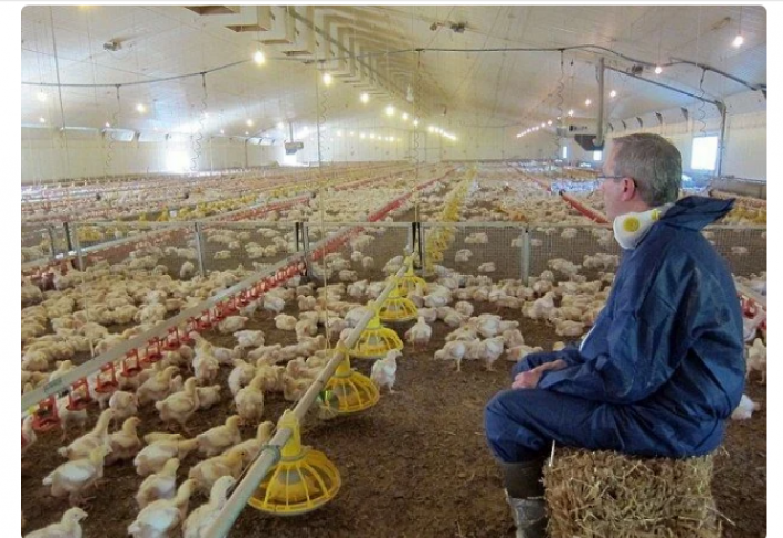 Вегетарианец создал "самую этическую ферму" в мире (фото)