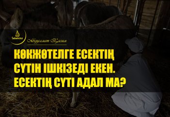 Көк жөтелге есектің сүтін ішкізеді екен. Есектің сүті адал ма?