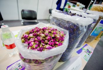 Дәрілік өсімдіктер нарығы: Иран экономикасындағы әлеуеті