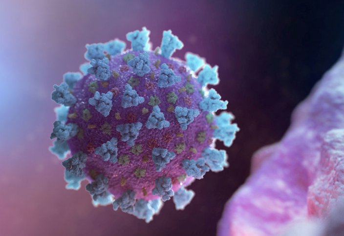 Вирус иммундық жүйені қалай алдайды немесе вирустың мимикрия стратегиясы