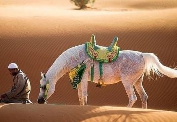 Қазақстанның шығысы мен батысындағы ауызашар мен қайырымдылық шаралары (фото+видео)