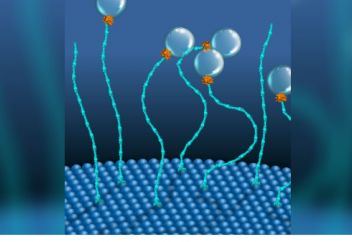 Жасуша ішінен сегізаяқ қармауышына ұқсайтын молекулалық қозғалтқыш табылды