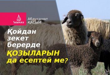 Қойдан зекет берерде қозыларын да есептей ме?